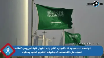 الجامعة السعودية الإلكترونية تفتح باب القبول للبكالوريوس 1447هـ.. تعرف على التخصصات وطريقة التقديم خطوة بخطوة